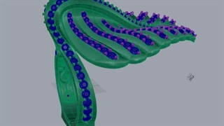 آموزش مجازی طراحی جواهرات
