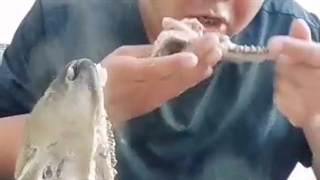 سرشو بخور در قاب تصویر