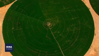 دایره‌هایی حاصلخیز در دل بیابان