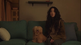 قسمت 3 سریال ایکس دیوانه در شهر/2021 crazy x in town