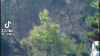 وینچنزو کاسانو 