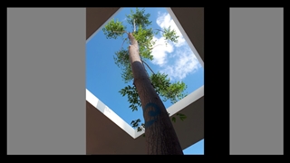 روف گاردن چیست؟ - مزایای روف گاردن