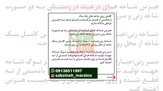 چند نکته ی مهم در هرس باردهی_مشاوره واتساپ09138511997_سبزینه مارال یزد