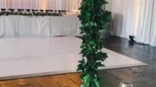 پارتی سیتی party city