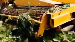 دستگاه بسته بندی علوفه