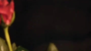 فوتو کانسپت منتشر شده از آلبوم DIMENSION:DILEMMA ورژن متحرک SCYLLA