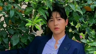 این شما و این مافیای کُره