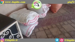 ارسال مجدد سیاه دانه برای کردستان توسط مجموعه داپیدو