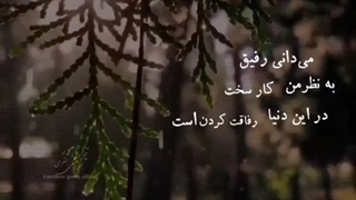 می دانی رفیق؟...