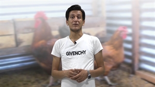 جوجه کشی از تخم پرندگان مختلف (فصل دوم - قسمت هفتم)