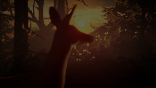 تریلر بازی Life is Strange Remastered Collection