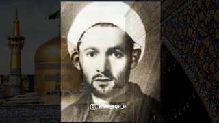 عنایت ویژه امام رضا (ع) به علامه حسن زاده آملی