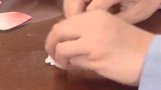 آموزش گلسازی با فوم. گل فوکسی