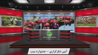 آیین شکر گذاری برداشت سیب