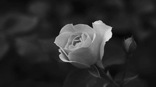 گره افتاده به کارم ...