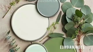 وقتی میگم رنگ مورد علاقه ام سبز نعنایی منظورم اینه