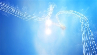 نرم افزار فروشگاهی آراد