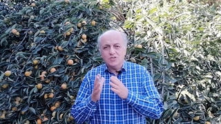 رفتارسازمانی و ظاهر کارکنان