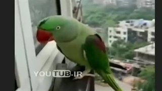 وقتی دیر میام خونه مامانم رام نمیده خونه خخخ