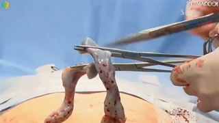 سریال کره ای پزشکان و زنان زایمان قسمت13