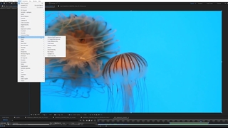 دانلود اسکریپت Composite Brush v1.0 برای افترافکت