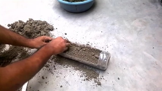 نحوه کاشت و پرورش آلوئه ورا در خانه