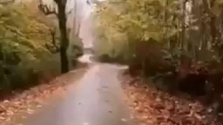 arash nadrei Band - ارزو داشتم