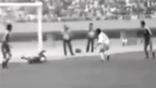 سوپر سیوهای ناصر حجازی