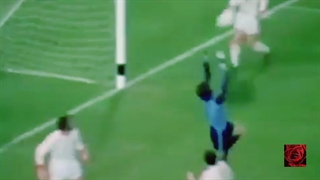 تمام سیوهای ناصر حجازی