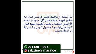 تغذیه ی درخت گردو_مشاوره ی واتساپ09138511997_سبزینه مارال یزد