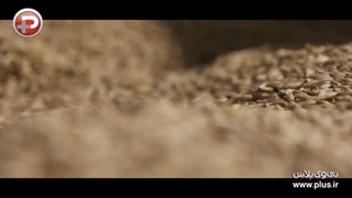 مراحل تولید دلستر در کارخانه