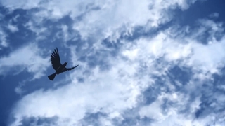 انیمه شیطان کش قسمت 7 زیرنویس فارسی