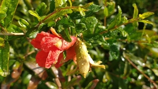 روزمرگی های من قسمت اول