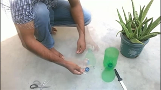 نحوه کاشت و پرورش آلوئه ورا در یک بطری پلاستیکی