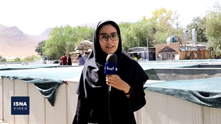 آبزیپروری در گیرودار کرونا و نوسان ارز