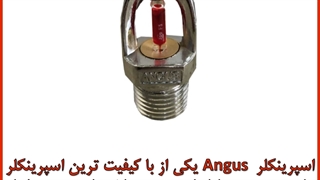 خرید اسپرینکلر انگس (Angus)