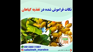 نکات فراموش شده در تغذیه ی گیاهان_09138511997_سبزینه مارال یزد