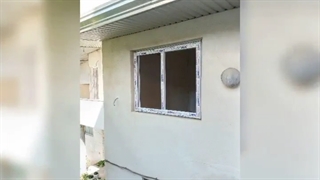 نمایندگی وین تک