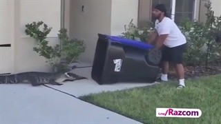 بعد ما اینجا مارمولک بزرگتر از 10 سانتی متر ببینیم تا مرز سکته میریم ://