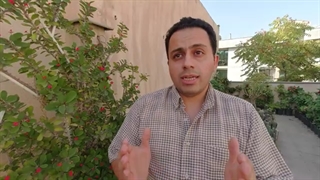 چطور از گیاهان روف گاردن در تابستان محافظت کنیم