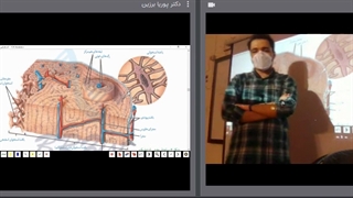 زیست یازدهم جلسه دهم