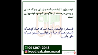 مهمترین علائم کمبود عناصر غذایی در درختان میوه_مشاوره واتساپ09130713048_سبزینه مارال یزد