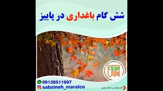 شش گام باغداری در پاییز_مشاوره ی واتساپ 09138511997_سبزینه مارال یزد