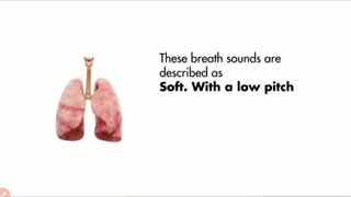 ضمیمه جلسه اول مقدمات بیماری های تنفس