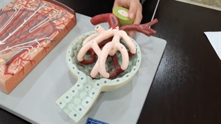 عملی کلیه جلسه اول پارت 4. پزشکی