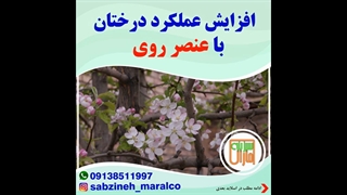 افزایش عملکرددرختان با عنصر روی_مشاوره ی واتساپ09138511997_سبزینه مارال یزد