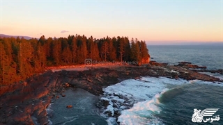 سفری دیدنی به جزیره ونکوور Vancouver Island