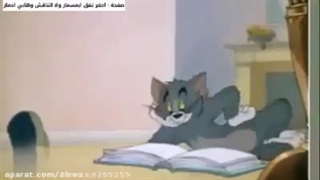 تام و جری و علمای وهابی