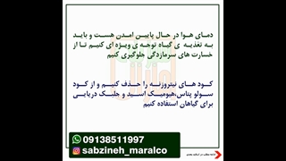 مبارزه با سرمازدگی گیاه (تغذیه ی ویزه پاییز زمستان)_واتساپ09138511997_سبزینه مارال یزد