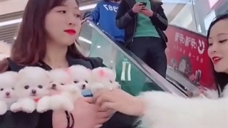 حالم خوب نیس فعلا بای